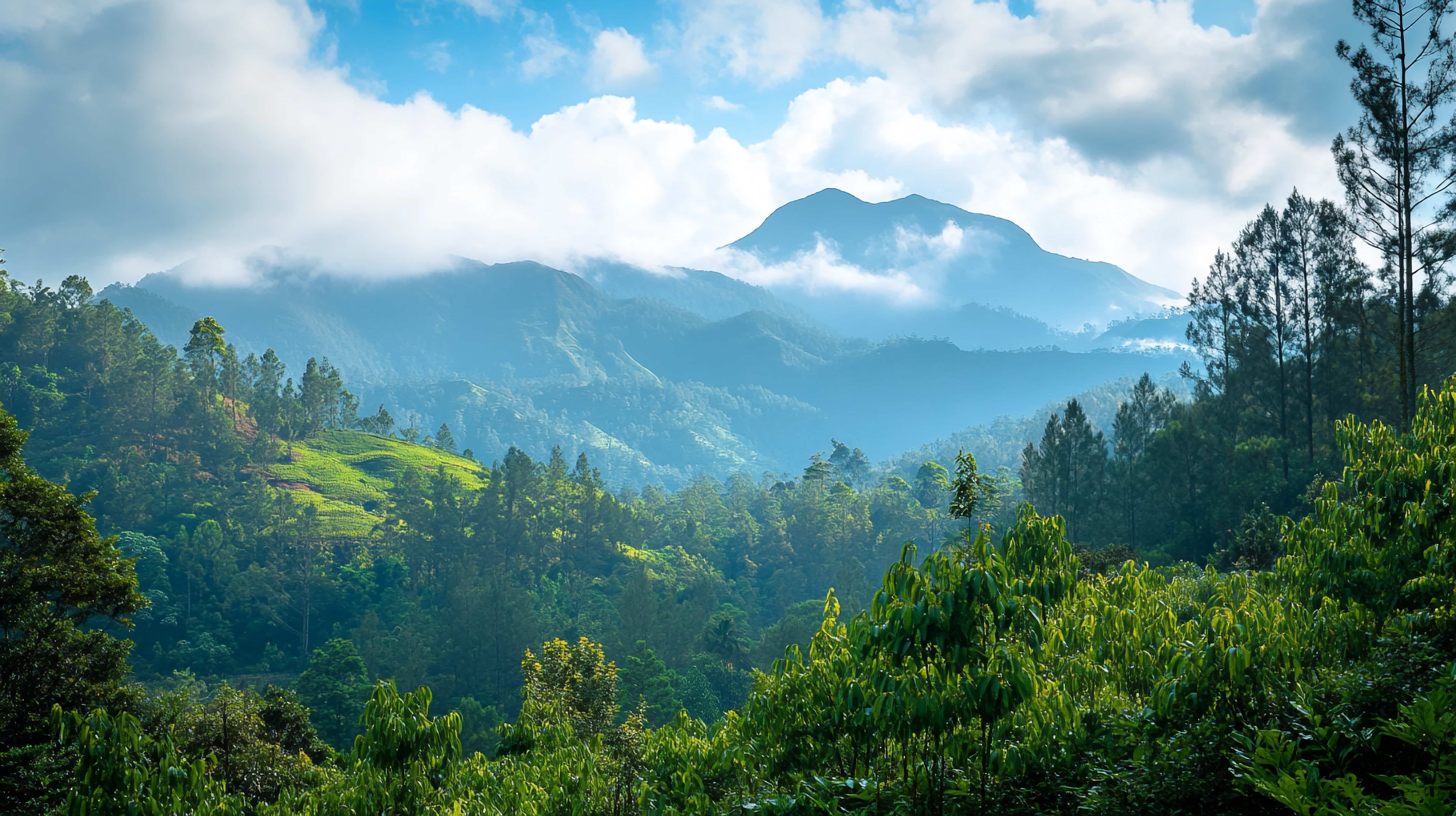 Sri Lanka 7 Nights / 8 Days Scenic & Cultural Tour Package