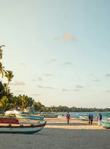 Peaceful beach scene in Trincomalee, Sri Lanka with fishing boats and palm trees at sunset.
