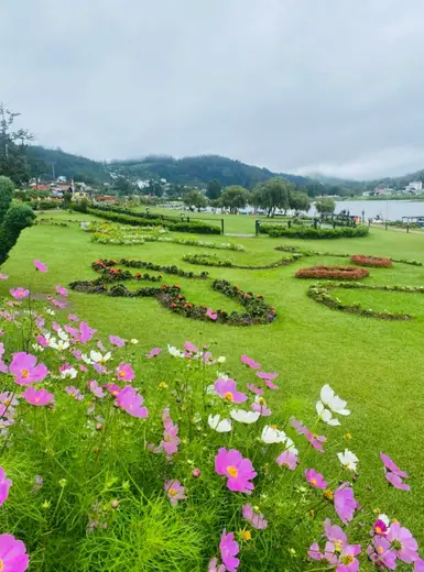 Lush garden with colorful flowers and rolling hills in Nuwara Eliya, Sri Lanka, under a cloudy sky.
