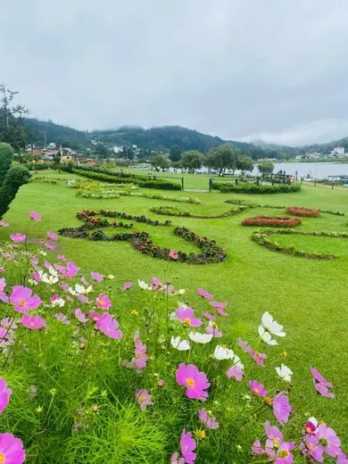 Lush garden with colorful flowers and rolling hills in Nuwara Eliya, Sri Lanka, under a cloudy sky.